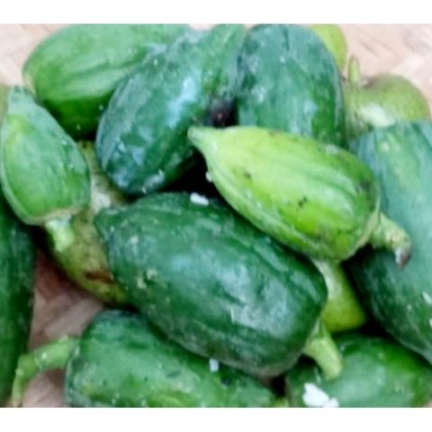 Đu Đủ Non 1kg Tươi Sống - Thực Phẩm Chữa Bệnh, Tăng Cường Đề Kháng và Hỗ Trợ Tiêu Hóa, Vận Chuyển Nhanh Chóng