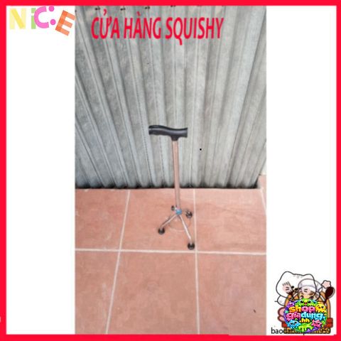 Gậy Đi Bộ 3 Chân Chống Gỉ Sét Cho Người Cao Tuổi - Hỗ Trợ Di Chuyển An Toàn Và Tiện Lợi