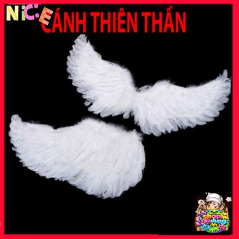 Cánh Lông Vũ Trẻ Em - Đôi Cánh Thiên Thần Màu Sắc Xinh Xắn Cho Tiệc Tùng và Hóa Trang - Quà Tặng Đặc Biệt Cho Bé Yêu