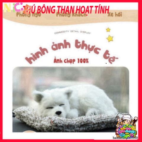 Gấu Bông Khử Mùi Than Hoạt Tính Dễ Thương - Phụ Kiện Trang Trí Ô Tô, Giúp Không Gian Sống Trong Lành và Đáng Yêu