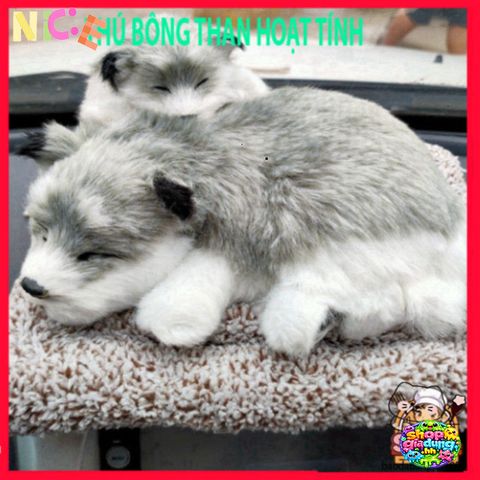 Thú Bông Khử Mùi Than Hoạt Tính - Gấu Cún Vàng Dễ Thương Hút Mùi Tự Nhiên Cho Không Gian Sống và Xe Ô Tô