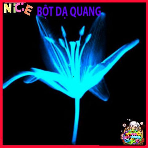 Bột Dạ Quang An Toàn 10g - Phát Sáng Trong Đêm, Trang Trí Nghệ Thuật, Dùng Cho Quần Áo, Gỗ, Gốm, Đánh Dấu An Toàn EXIT