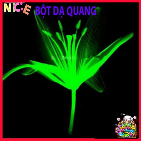 Bột Dạ Quang An Toàn 10g - Phát Sáng Trong Đêm, Trang Trí Nghệ Thuật, Dùng Cho Quần Áo, Gỗ, Gốm, Đánh Dấu An Toàn EXIT
