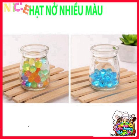 Hạt Nở Thủy Sinh Đẹp Mắt - Trang Trí Cây Cảnh Không Cần Đất, Độ Bền Cao, Lựa Chọn Hoàn Hảo Cho Không Gian Sống