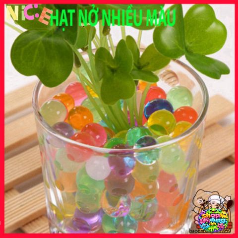 Hạt Nở Thủy Sinh Đẹp Mắt - Trang Trí Cây Cảnh Không Cần Đất, Độ Bền Cao, Lựa Chọn Hoàn Hảo Cho Không Gian Sống