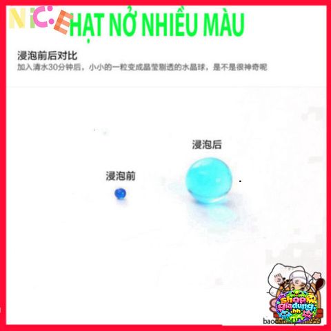Hạt Nở Thủy Sinh Đẹp Mắt - Trang Trí Cây Cảnh Không Cần Đất, Độ Bền Cao, Lựa Chọn Hoàn Hảo Cho Không Gian Sống