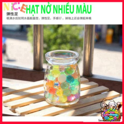 Hạt Nở Thủy Sinh Đẹp Mắt - Trang Trí Cây Cảnh Không Cần Đất, Độ Bền Cao, Lựa Chọn Hoàn Hảo Cho Không Gian Sống
