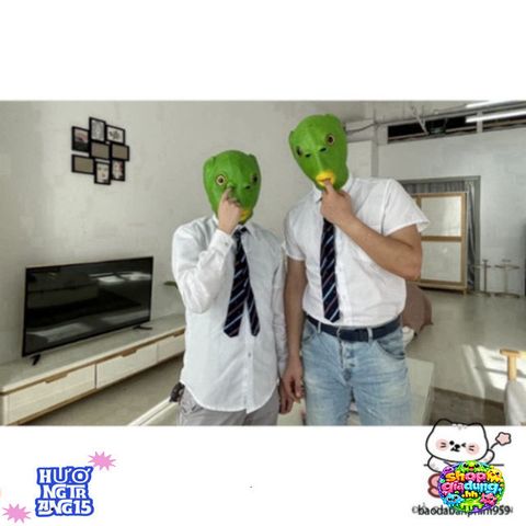 Mặt Nạ Hóa Trang Cá Xanh Và Ếch Xanh - Phụ Kiện Hài Hước Halloween Độc Đáo Cho Tiệc Tùng Võ Trang 2025