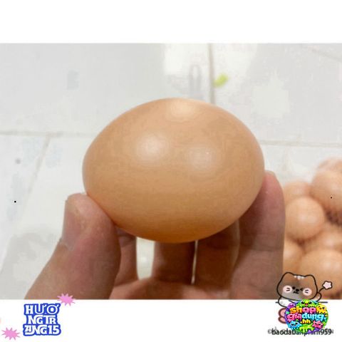 Trứng Gà Nhựa Giả 99% Độc Đáo - Trang Trí Nội Thất Tự Nhiên, Chất Liệu Bền Bỉ, Thích Hợp Cho Quán Cà Phê và Không Gian Sáng Tạo