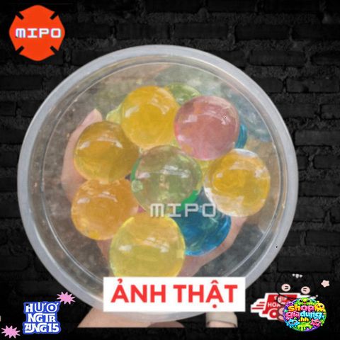 Hạt Ngâm Nở Siêu To Đa Màu - Đồ Chơi Tinh Thể Trang Trí Cây Cảnh, Tiểu Cảnh Sáng Tạo Tại MIPO Shop