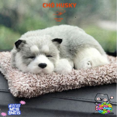 Gấu Bông Chó Mèo Trang Trí Ô Tô - Có Âm Thanh & Thảm Khử Mùi Than Hoạt Tính - Phụ Kiện Xe Hơi Đáng Yêu