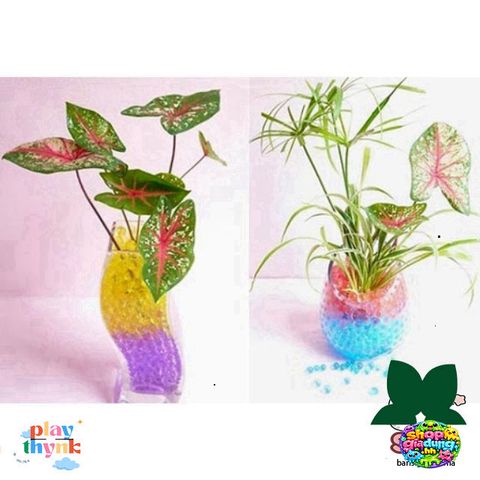 Hạt Tinh Thể Trồng Cây Dinh Dưỡng Slime Nhiều Màu - Thay Thế Đất, Giúp Cây Lớn Mạnh, Trang Trí Thiên Nhiên Thú Vị