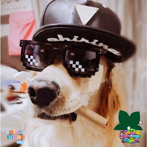 Kính Thug Life Like A Boss - Kính Mát Chất Ngầu Thời Thượng Dành Cho Nam Nữ, Thích Hợp Chụp Ảnh Nhóm Hot Trend 2023