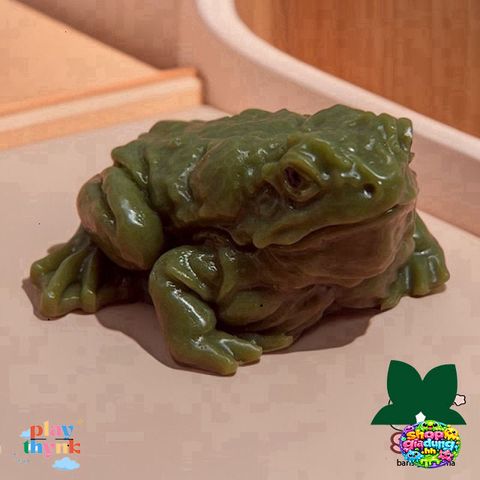Túi Cóc Slime Dẻo – Đồ Chơi Giải Trí Xả Stress, Hình Dáng Sinh Động, Quà Tặng Vui Nhộn Cho Bé và Dân Văn Phòng
