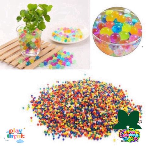 Combo Hạt Nở Đẹp 24 Gói Trang Trí Cây Cảnh – Dụng Cụ Làm Đẹp Không Gian Nhà Ở