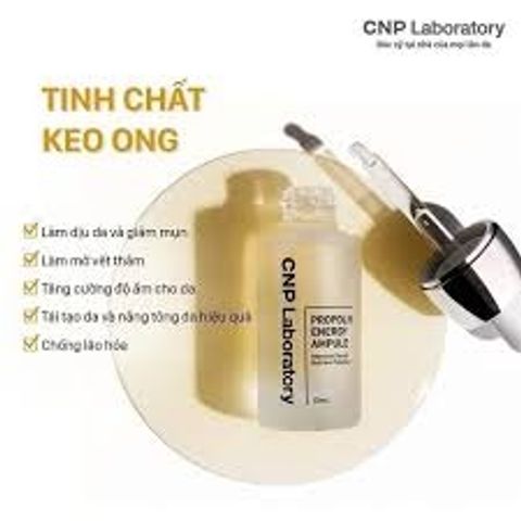 Tinh Chất Keo Ong Phục Hồi Da CNP Laboratory Propolis Ampule 35ml - Dưỡng Ẩm, Tái Tạo Làn Da Mịn Màng, Giảm Kích Ứng Chí