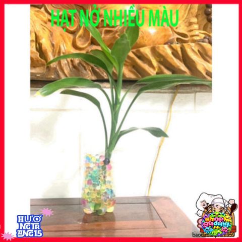 Hạt Nở Đa Sắc 50g - Trang Trí Cây Cảnh & Bình Hoa Thủy Tinh Tươi Mát - Đem Đến Không Gian Sống Sinh Động