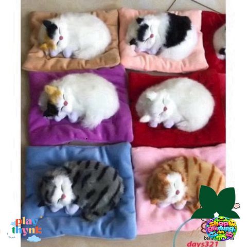 Gấu Bông Khử Mùi Chó Mèo Than Hoạt Tính - Đồ Chơi Thiên Nhiên Cho Ô Tô, Văn Phòng & Nhà Ở - Siêu Đáng Yêu, Chống Ẩm 99%