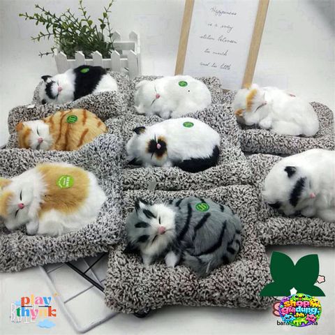Gấu Bông Khử Mùi Chó Mèo Than Hoạt Tính - Đồ Chơi Thiên Nhiên Cho Ô Tô, Văn Phòng & Nhà Ở - Siêu Đáng Yêu, Chống Ẩm 99%