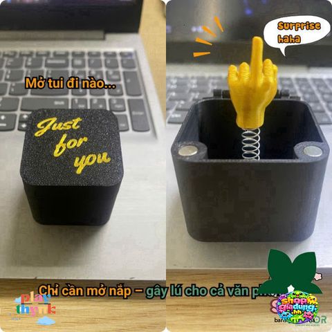 Nhẫn Ngón Giữa Gây Sốc - Hộp Trang Trí Hài Hước RingOoops cho Bàn Làm Việc - Quà Troll Độc Đáo và Vui Nhộn