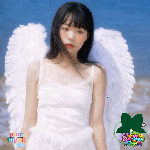 Cánh Thiên Thần Cosplay Đen Đỏ Trắng - Phụ Kiện Hóa Trang Tiệc Tùng Cho Trẻ Em Và Người Lớn, Lông Vũ An Toàn và Bền đẹp
