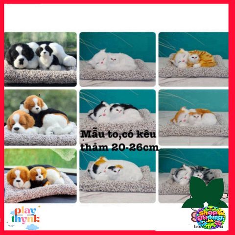Bánh Xe Khử Mùi Than Hoạt Tính Cho Chó Mèo - Khử Mùi Hiệu Quả Cho Ô Tô & Nhà, Phụ Kiện Thú Cưng Cao Cấp