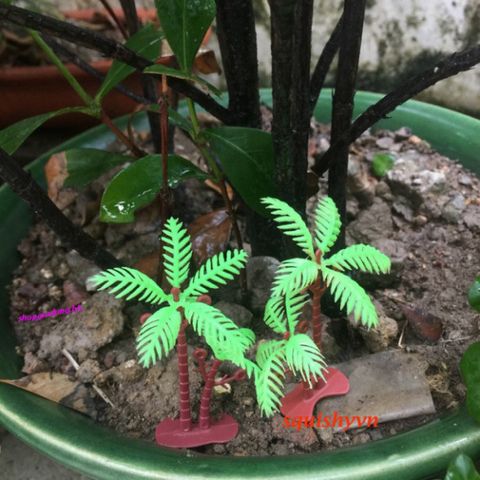Cây Dừa Nhí Nhựa Tiểu Cảnh Hồ Cá Mini - Đồ Trang Trí Hồ Bể Cá Và Non Bộ 8-10cm, Quà Tặng Độc Đáo