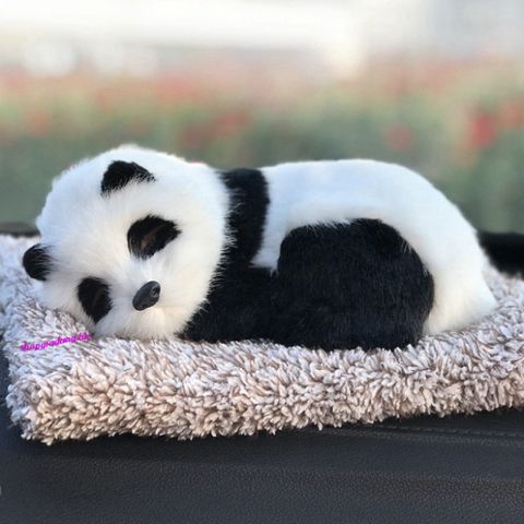 Thú Bông Chó Mắt Đen 99% Giống Thật - Lõi Than Hoạt Tính Khử Mùi Tô Điểm Ô Tô - Phụ Kiện Trang Trí Xe Hơi Giá Tốt