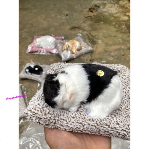 Mèo Đen Phối Trắng Thú Bông Lõi Than Hoạt Tính - Khử Mùi Ô Tô, Phụ Kiện Trang Trí Xe Hơi Dễ Thương cho Trẻ Em