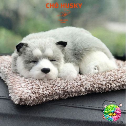 Gấu Bông Chó Mèo Khử Mùi Ô Tô - Thiết Kế Dễ Thương Với Than Hoạt Tính Hút Mùi - Phụ Kiện Trang Trí Xe Hơi Dễ Thương