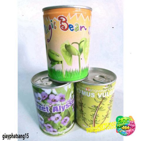 Hạt Giống Đậu Thần Kỳ - Bộ Sưu Tập Cây Cảnh Đẳng Cấp Cho Vườn Nhà, Quà Tặng Bạn Bè Thú Vị