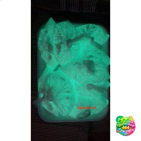 Bột Dạ Quang 20g Cho Resin/Epoxy - Phát Sáng Rực Rỡ Trong Bóng Tối - Chất Liệu Nguyên Chất, Để Tăng Hiệu Quả Sáng tối đa