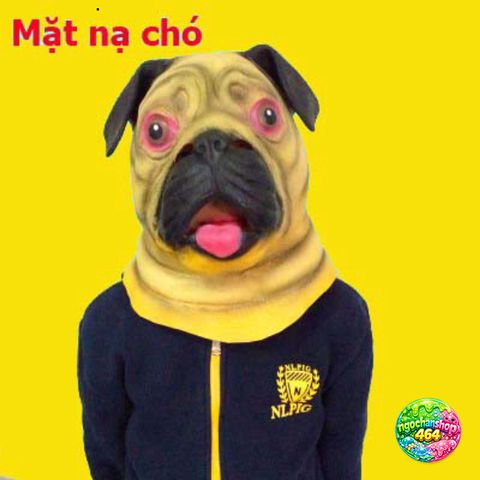 Mặt Nạ Halloween Cao Cấp Cho Chó - Hóa Trang Độc Đáo, Thú Vị Dành Cho Các Fan Thú Cưng