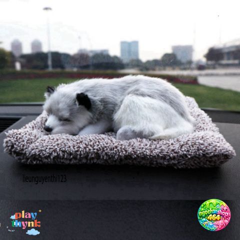 Gấu Bông Chó Poodle Xù Nâu - Phụ Kiện Khử Mùi Than Hoạt Tính Trang Trí Ô Tô Đáng Yêu và Thú Vị