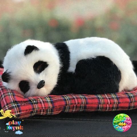 Gấu Bông Chó Poodle Xù Nâu - Phụ Kiện Khử Mùi Than Hoạt Tính Trang Trí Ô Tô Đáng Yêu và Thú Vị