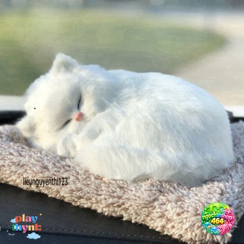 Gấu Bông Chó Poodle Xù Nâu - Phụ Kiện Khử Mùi Than Hoạt Tính Trang Trí Ô Tô Đáng Yêu và Thú Vị