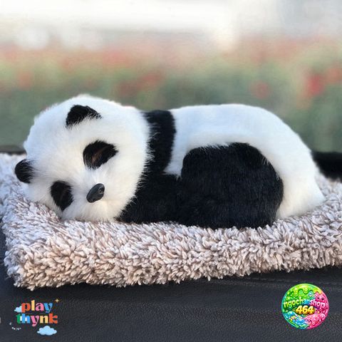 Thú Bông Chó Cún Than Hoạt Tính Khử Mùi Ô Tô - Trang Trí Taplo Xe Hơi, Lọc Không Khí, Dễ Thương và An Toàn cho Gia Đình