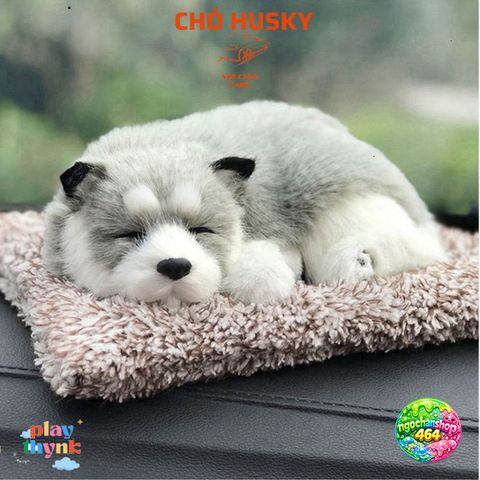 Chó Mèo Bông Than Hoạt Tính - Phụ Kiện Xe Hơi Đáng Yêu, Hút Ẩm Khử Mùi Hiệu Quả, Quà Tặng Độc Đáo