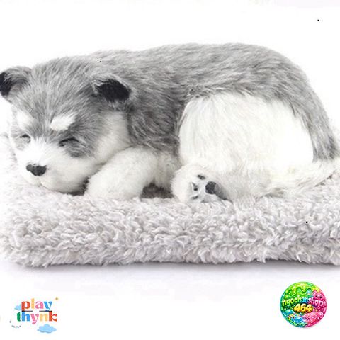 Thú Bông Mèo Vằn Vàng - Phụ Kiện Khử Mùi Than Hoạt Tính Đáng Yêu Trang Trí Xe Hơi và Nội Thất, Giúp Không Khí Trong Lành