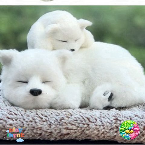 Mèo Vằn Vàng Đôi Thú Bông Decor Ô Tô - Khử Mùi và Lọc Khí Bằng Than Hoạt Tính - Phụ Kiện Dễ Thương Cho Xe Hơi