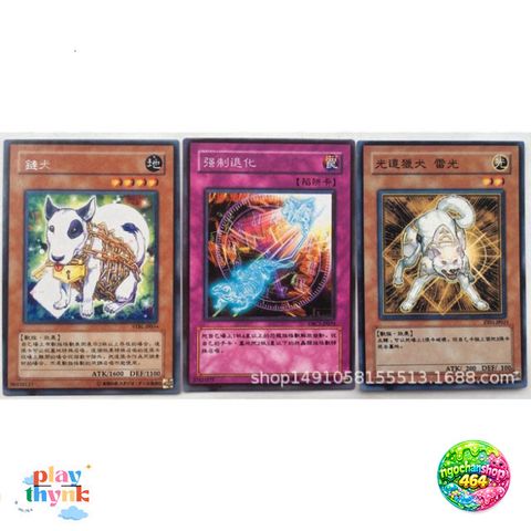 Túi Thẻ Bài Yu-Gi-Oh OCG 240 Lá Ngẫu Nhiên - Bộ Sưu Tập Vua Trò Chơi, Gói 24 Túi, Thẻ Tiếng Anh