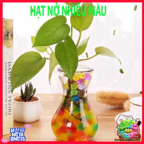 Hạt Tinh Thể Trồng Cây và Hoa - Giải Pháp Trang Trí Mới Cho Không Gian Sống, Nở To Gấp 4-5 Lần, Nhiều Màu Sắc, Dễ Dàng Sử Dụng