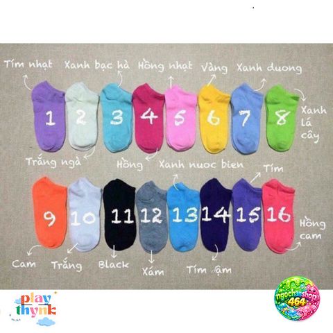 Tất Ngắn Nữ Nhiều Màu Sắc Dễ Thương - Giá Siêu Hợp - Phụ Kiện Thời Trang Thoải Mái, Đáng Yêu Cho Mọi Dịp