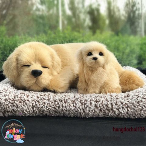 Bông Thú Cún Mèo Nhạt Đôi - Chó Vàng Thật 99% Lõi Than Hoạt Tính Khử Mùi, Trang Trí Xe Hơi Đáng Yêu, Sức Khỏe Gia Đình