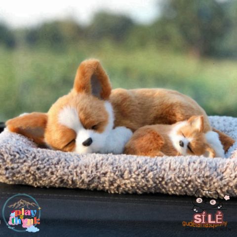 Thú Nhồi Bông Cún Vàng Mẹ Con Shiba Đôi - Khử Mùi Than Hoạt Tính, Lọc Không Khí Trang Trí Xe Hơi Đáng Yêu