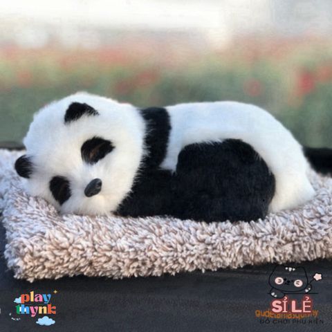 Thú Nhồi Bông Cún Vàng Mẹ Con Shiba Đôi - Khử Mùi Than Hoạt Tính, Lọc Không Khí Trang Trí Xe Hơi Đáng Yêu
