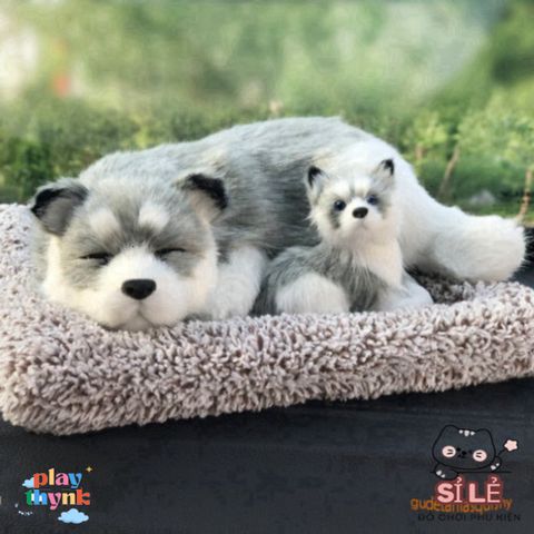 Thú Nhồi Bông Cún Vàng Mẹ Con Shiba Đôi - Khử Mùi Than Hoạt Tính, Lọc Không Khí Trang Trí Xe Hơi Đáng Yêu