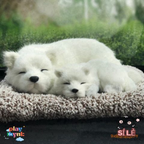 Thú Nhồi Bông Cún Vàng Mẹ Con Shiba Đôi - Khử Mùi Than Hoạt Tính, Lọc Không Khí Trang Trí Xe Hơi Đáng Yêu