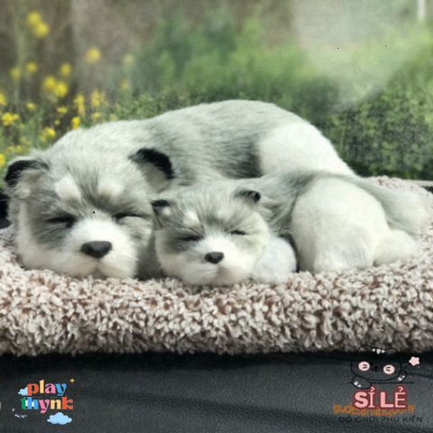 Thú Nhồi Bông Cún Vàng Mẹ Con Shiba Đôi - Khử Mùi Than Hoạt Tính, Lọc Không Khí Trang Trí Xe Hơi Đáng Yêu