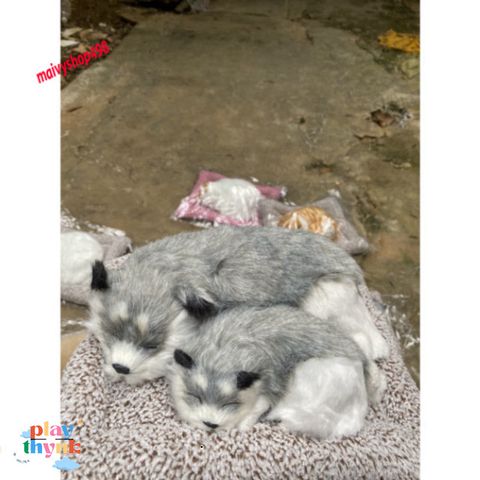 Cún Xám Bố Thú Nuôi Bông Giống Thật - Gấu Bông Lõi Than Hoạt Tính Khử Mùi Ô Tô, Phụ Kiện Tô Điểm Xe Hơi